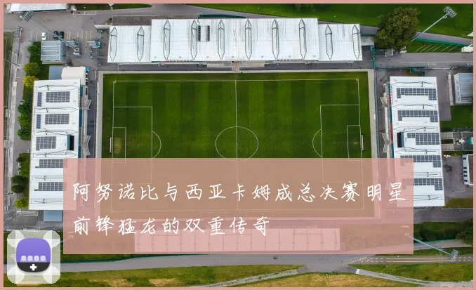 阿努诺比与西亚卡姆成总决赛明星前锋猛龙的双重传奇