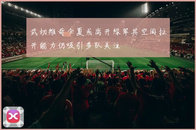 武切维奇今夏或离开绿军其空间拉开能力仍吸引多队关注