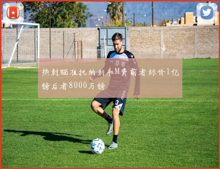 热刺瞄准托纳利和M费前者标价1亿镑后者8000万镑